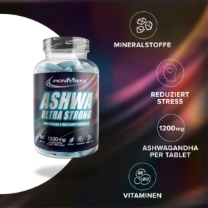Fitness Market Webáruház 6 PT01 Benefits DE 8b6fb2c4 d246 4d5b 8a15 fd2b79793c73